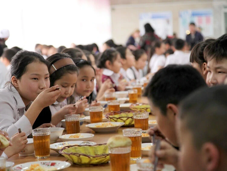 Полезные привычки и вклад в обучение. ВОЗ о стандартах школьного питания