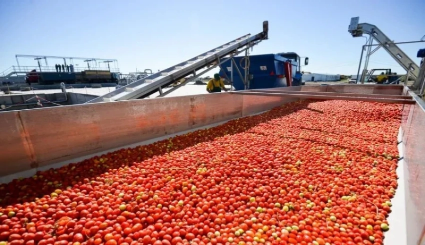 В перерабатывающей промышленности за 11 месяцев зафиксирован рост производства на 19%