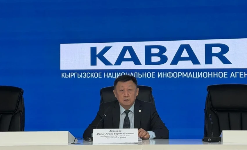 Гарантийный фонд за 2025 год выдал гарантий на 4,1 млрд сомов