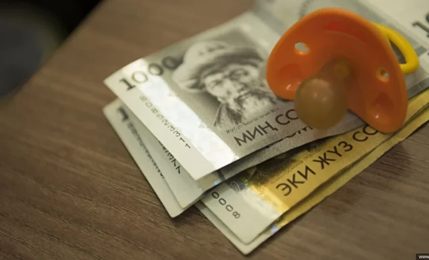 Ошибки в «Тундуке» мешают получению пособий — депутат