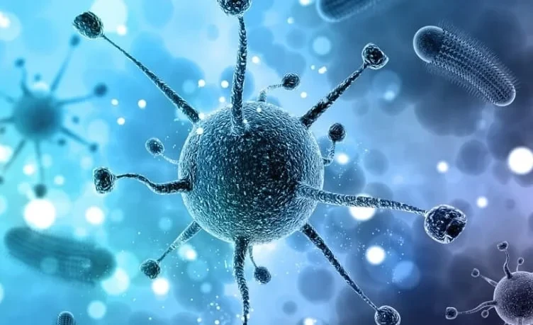 Кыргызстан обновляет правила санитарной охраны и план действий на 2026–2030 годы