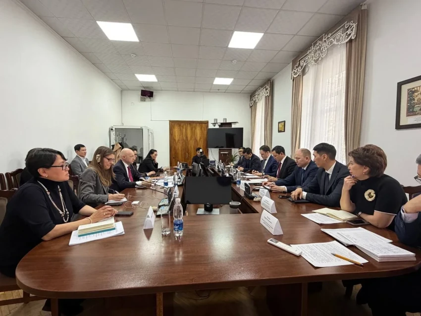 Кадры, «первичка», цифровизация: Минздрав КР и ВОЗ сверили приоритеты