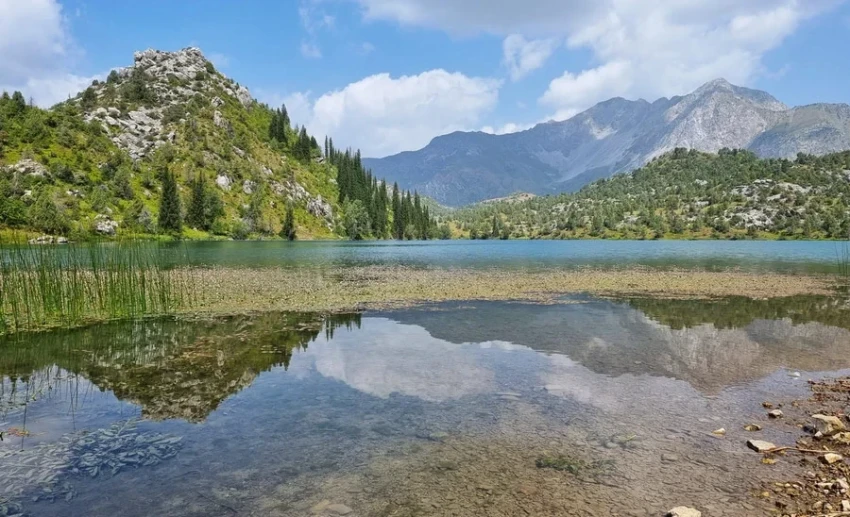 В Кыргызстане возобновит работу природоохранная прокуратура