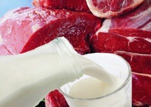 Все мясо, которое продается в Бишкеке, потенциально опасно, поскольку забой производится в антисанитарных условиях