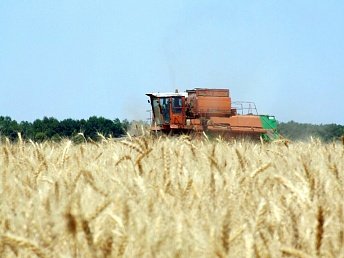 Польский кредит на развитие сельской местности КР не могут освоить уже год