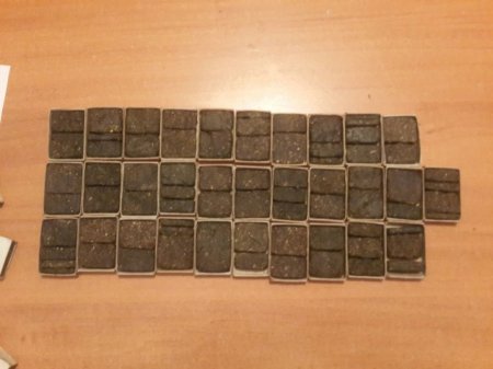 Василий Адамов, задержанный с партией гашиша, является помощником депутата Татьяны Левиной