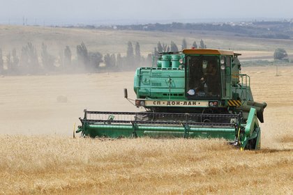Украина захотела заменить Россию на продовольственном рынке Турции