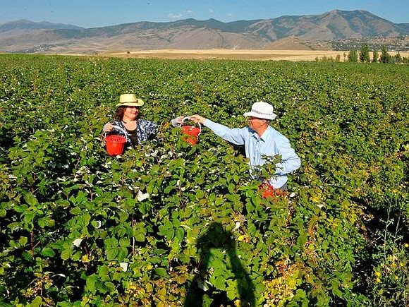 Маленькая страна на большом рынке. Как реально прожила Армения год в ЕАЭС?
