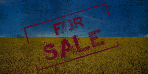 Кабмин Украины обнародовал свои планы по началу продажи сельскохозяйственных земель
